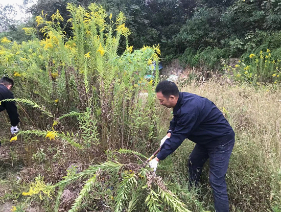 形成群防群治,齐抓共管的除治氛围 ,贵池区重大林业有害生物防治指挥