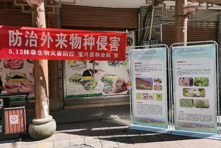 林业局在县城十字街口开展了"加强生物安全管理,防治外来物种侵害"为