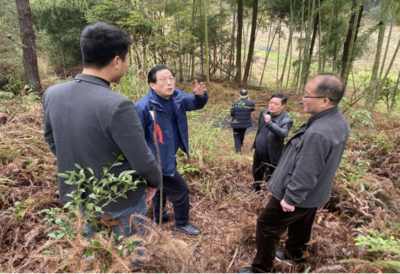 江西省林业有害生物防治检疫中心主任吴宗仁对黎川县松材线虫病防控工作进行督导检查