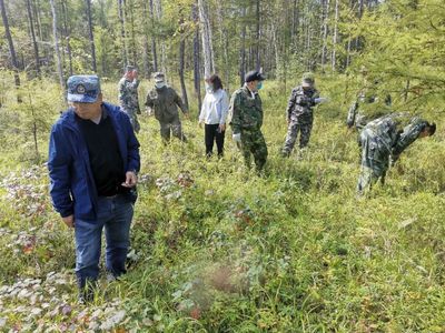 大兴安岭林业集团公司生态修复管理处森防总站深入呼中林业局开展松材线虫病疫情防控督导暨林业有害生物防治